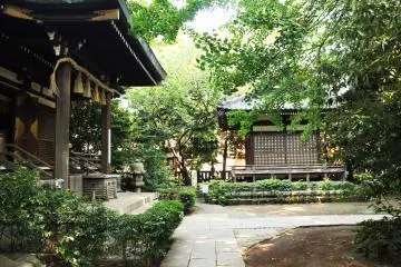 Gallery image
