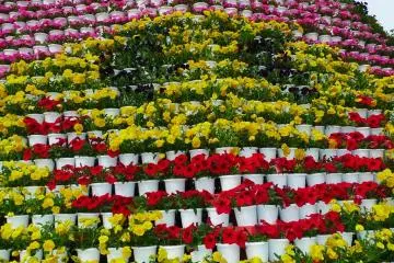 Flower Power Tower