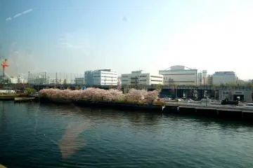 <p>모노레일에서 보이던 도심 풍경</p>