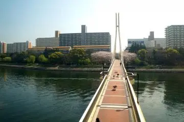 <p>모노레일에서 보이던 도심 풍경</p>
