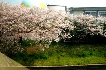 <p>모노레일에서 보이던 도심 풍경</p>