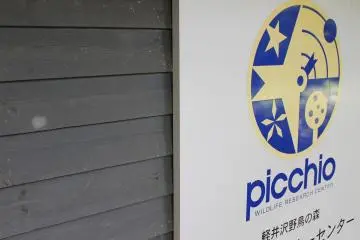 <p>The front of the tourist centre</p>