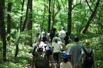 <p>A eco-tourism tour</p>
