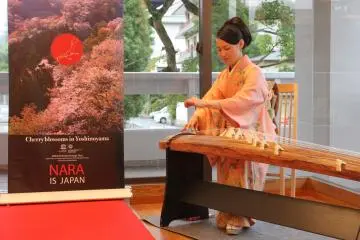 <p>A stunning koto performance</p>