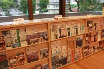 <p>Some of the pamphlets and maps in multiple languages</p>