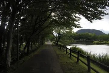 <p>The park area in Yagasaki.</p>