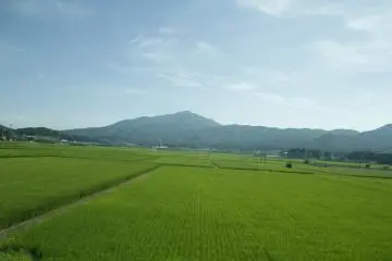 <p>The view from the window.&nbsp;</p>