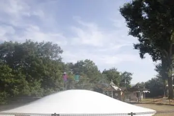 <p>The bouncy 'thing' in the park.&nbsp;</p>