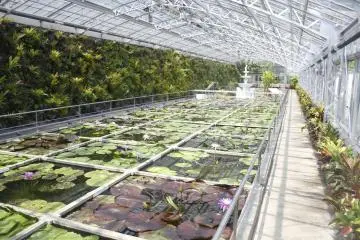 <p>Inside one of the large areas with plants.</p>