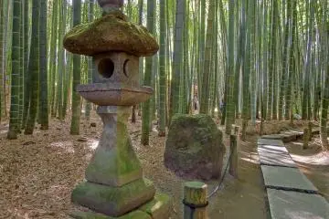 <p>The start of your walk through Hokokuji`s famous bamboo garden</p>