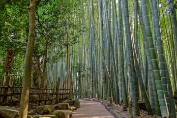 <p>Finding a brief moment of respite from the crowds</p>