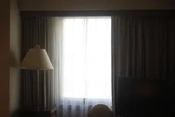 <p>The window.</p>