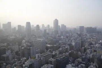 So many buildings!&nbsp;