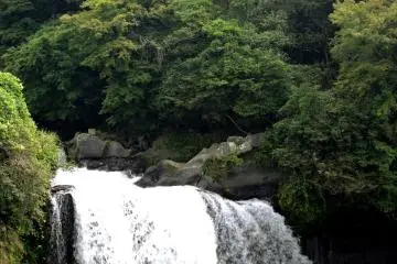 <p>The falls are located on The Shiba River in Fujinomiya</p>