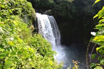 <p>There didn't seem to be any way to approach the pool at the bottom of the waterfall</p>