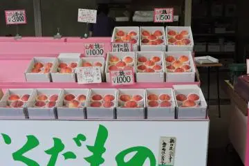 <p>Stall selling locally grown peaches, so delicious in July and August</p>