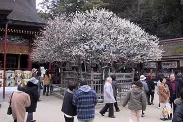 Photo: Wikipedia 