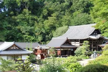 <p>The main buildings and garden of Okadera from the pagoda</p>
