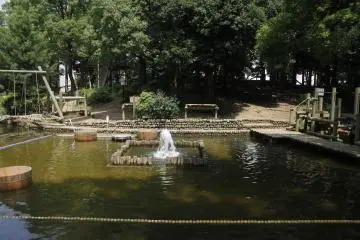 <p>Part of the adventure park for children.&nbsp;</p>