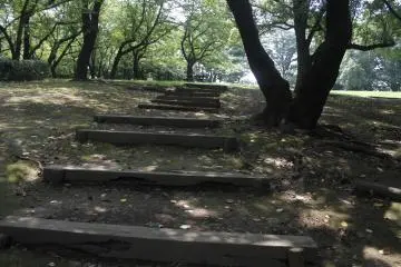 <p>Steps walking up to an large green area.&nbsp;</p>