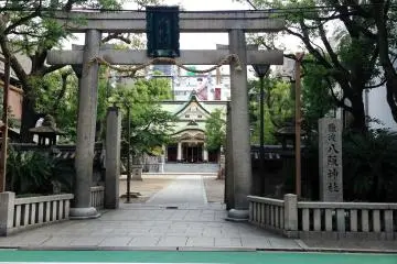 A peaceful avenue of trees leading to the main shrine.