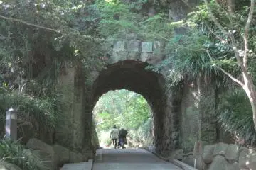 Le tunnel étrange et pourtant pittoresque qui conduit au musée