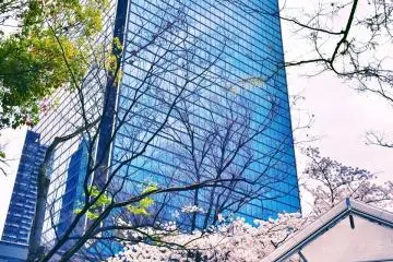 One thing this city has managed to do that immediately struck me, is maintain a sense of co-existence. Man and nature, skyscrapers and blooming sakura.&nbsp;