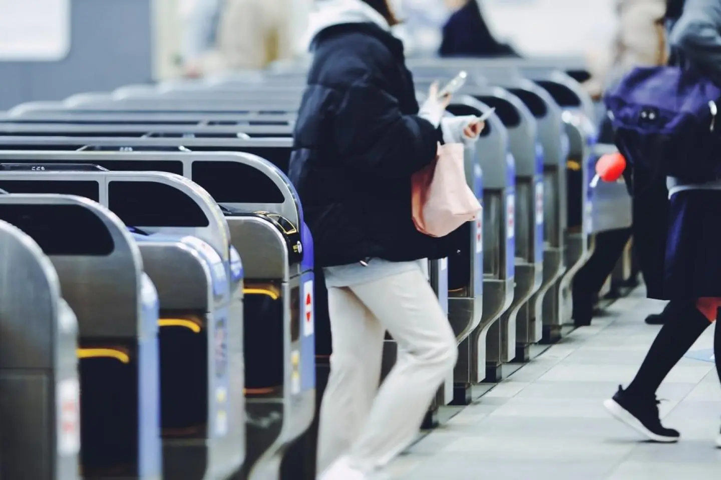 照片由: beeboys / Shutterstock.com