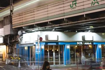 <p>Single girl waiting below metro train in motion</p>