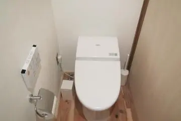 <p>The modern Japanese toilet</p>