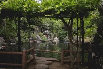 <p>Koi pond at Atago Jinja shrine</p>