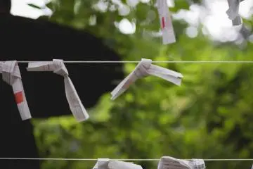<p>Omikuji with fortunes on, left by visitors</p>