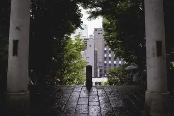<p>Peak through the window to the outside world</p>