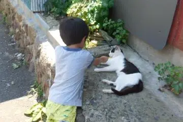 <p>Jangan paksa aku menggigit jarimu!&nbsp;Me-ow</p>