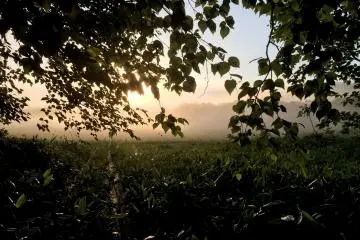 <p>Pemandangan pagi terlihat dari Gunung Shibtsu di Taman Nasional Oze di Prefektur Gunma.</p>