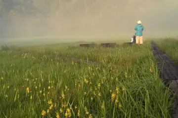 <p>Bunga liar di kaki Gunung Shibutsu.</p>