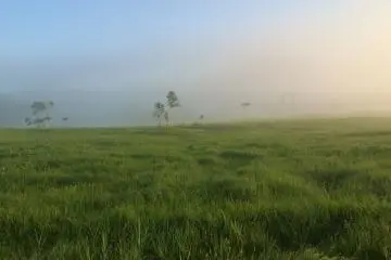 <p>Pagi berkabut mempersulit untuk melihat ke kejauhan.</p>