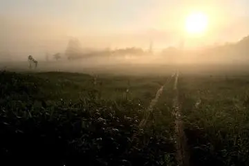 <p>Kabut meliputi daerah ini.</p>