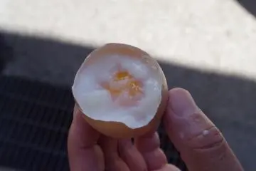 온센 한타이 타마고