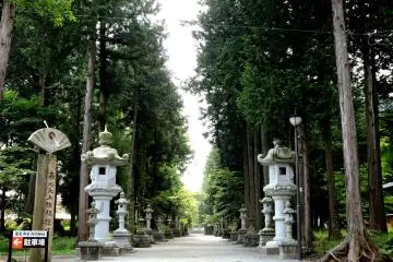 <p>Path flanked by lanterns and tall trees</p>