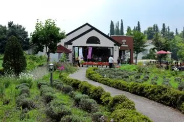 <p>Kawaguchiko Muse Museum</p>