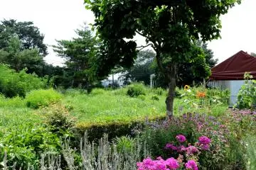 <p>Pretty flower border</p>