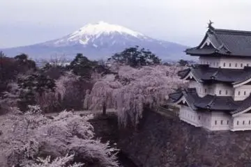 Hirosaki Park in spring.