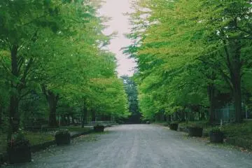 Hirosaki Park will make you calm (Photo: Endarastya Sarah)