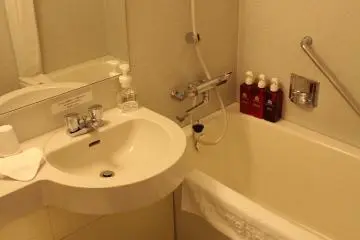 El baño estaba limpio pero sin olor a químicos