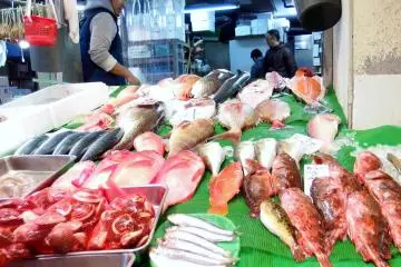 <p>There is a variety of fish for sale</p>