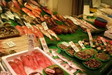 <p>Don&rsquo;t waste the opportunity to try some delicious specialties of Hakata Bay</p>