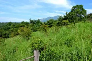 <p>A glimpse of blue mountains</p>