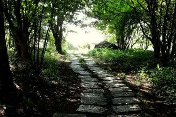 <p>Following the path</p>