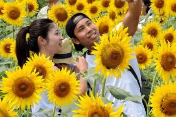 <p>Photos posed among these cheerful flowers must surely become favorite keepsakes! &nbsp;</p>